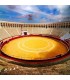 Tarazona de la Mancha (Albacete). Bullring