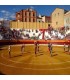 Roa de Duero (Burgos), Bullring