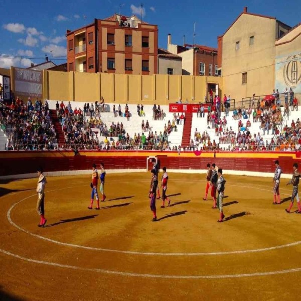 Roa de Duero (Burgos), Bullring