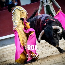 Bullfight tickets Roa - San Roque and Ntra Sra de La Asunción 