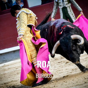 Entradas Toros Roa - San Roque and Ntra Sra de La Asunción 