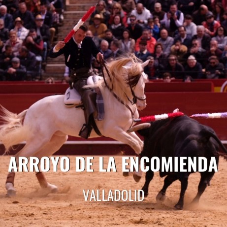 Bullfight ticket Arroyo de la Encomienda-Bullfighting festival