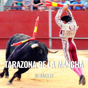 Entradas Toros Tarazona de la Mancha - San Bartolome