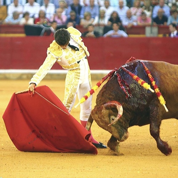 Jorge Isiegas torero