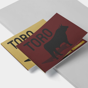 Toro book. Mini bullfighting encyclopedia