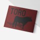 Toro book. Mini bullfighting encyclopedia