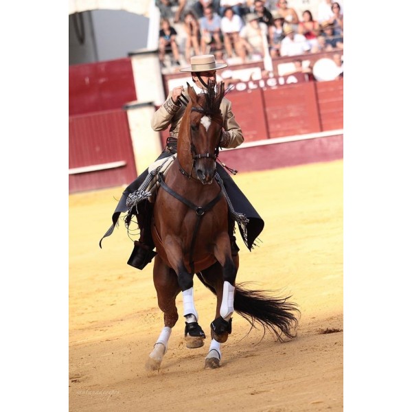José Antonio Mancebo bullfighter
