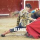 Bullfight tickets Blanca - Great show