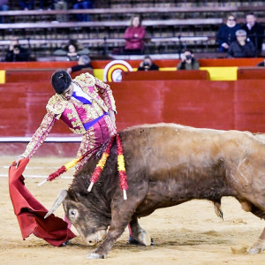 Miguel Senent Miguelito