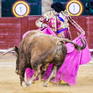 Miguel Senent Miguelito