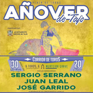 30/08 Añover de Tajo (20:00) Toros