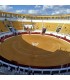 Villanueva del Arzobispo bullring 