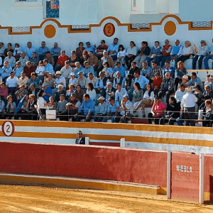 Niebla Bullring