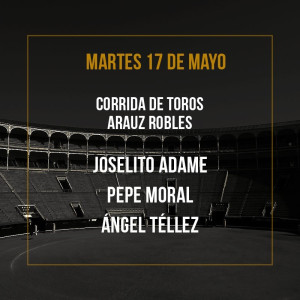 17/05 San Isidro (19:00) Bullfighting show PDF FILE