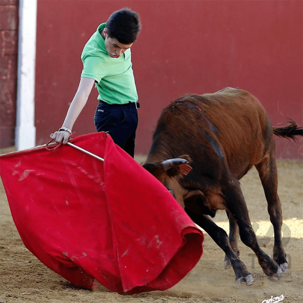 Tristán Barroso