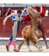 José Fernando Molina bullfighter