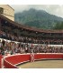 Azpeitia Bullring