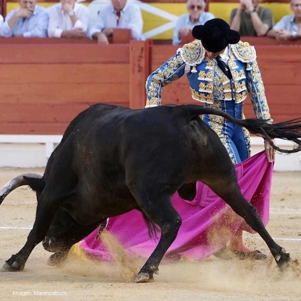 Borja Ximelis