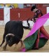 bullfighter Santiago Esplá 