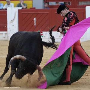 bullfighter Santiago Esplá 