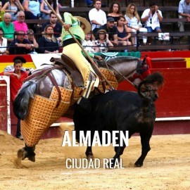 Bullfight tickets Almaden - Bullfighting Fair
