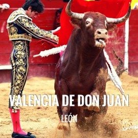 Bullfight Tickets Valencia de Don Juan - Bullfighting Festivities 