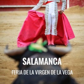 Bullfight tickets Salamanca- Feria Virgen de la Vega 