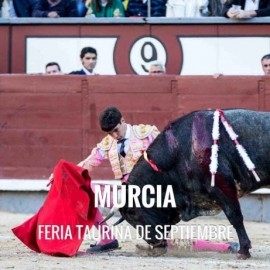 Bullfight Tickets Murcia -- Bullfighting festival 