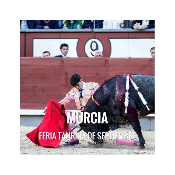 Bullfight Tickets Murcia -- Bullfighting festival 