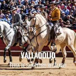 Bullfight ticket Valladolid – Feria de San Pedro Regalado 