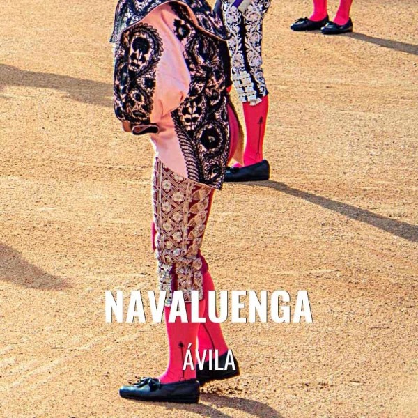 Bullfight tickets Navaluenga - Bullfighting fest