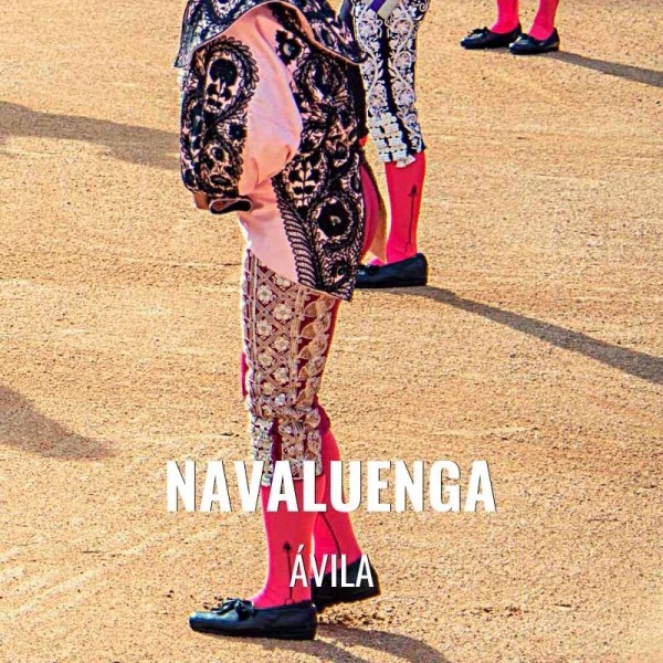 Entradas Toros En Navaluenga vila Www servitoro