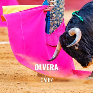  Bullfight tickets Olvera – Bullfighting show