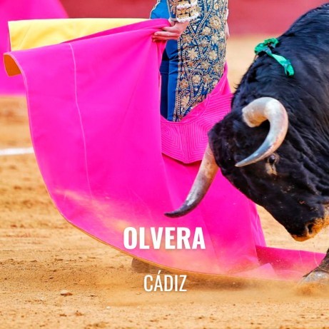  Bullfight tickets Olvera – Bullfighting show
