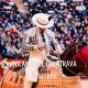Bullfight tickets Bolaños de Calatrava - Show bulls