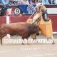 Bullfight tickets Torralba de Calatrava - Ciudad Real