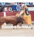 Bullfight tickets Torralba de Calatrava - Ciudad Real