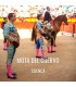 Bullfight tickets Mota del Cuervo - Bullfighting show 