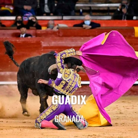 Bullfight tickets Guadix - Bullfighting show