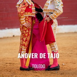 Bullfight tickets Añover de Tajo - two shows on the year