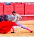 Bullfight Tickets Roldán - Bullfighting festivities