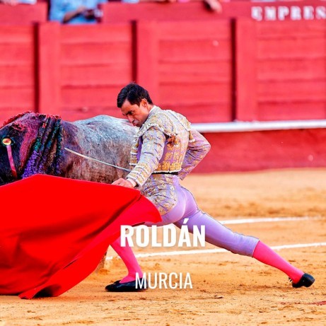 Bullfight Tickets Roldán - Bullfighting festivities
