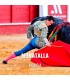 Bullfight tickets Moratalla - Bullfighting show