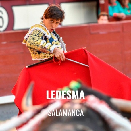 Bullfight tickets Ledesma - Corpus Fair
