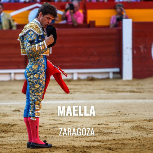 Entradas Toros Maella - Festival Taurino