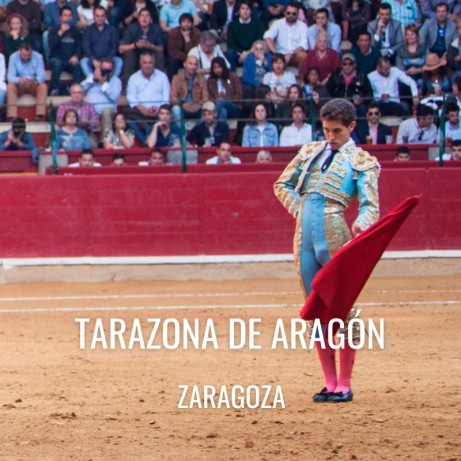 Bullfight tickets Tarazona de Aragón - Bullfighting show