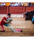 Bullfight tickets Torre-Pacheco - bullfighting show