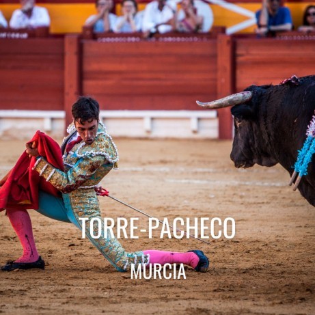 Entradas toros Torre-Pacheco - festejo taurino