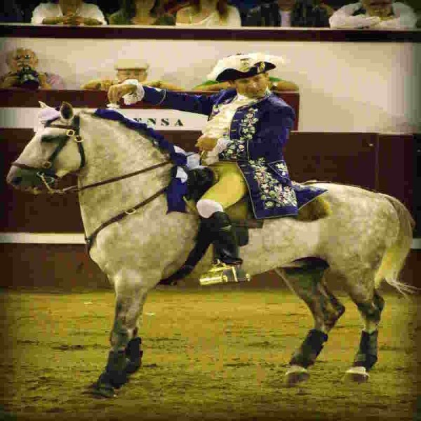 Antonio Ribeiro Telles