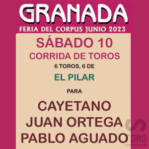 10/06 Corpus (19:30) Toros PDF FILE